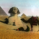 Illustration for article titled Amazing Hand-Tinted Photos of Egypt from the late 19th century